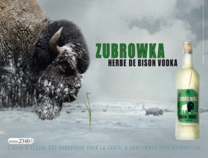 zubrowka